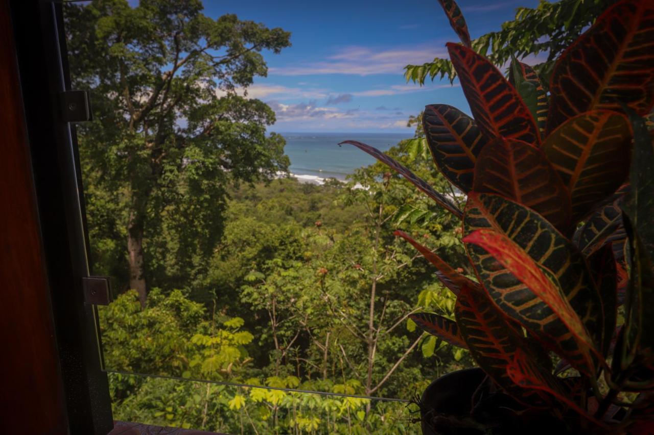 La Uvita Perdida Esterno foto
